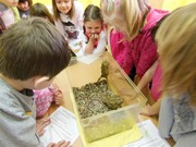 Přírodovědný program - Plazi a žáby